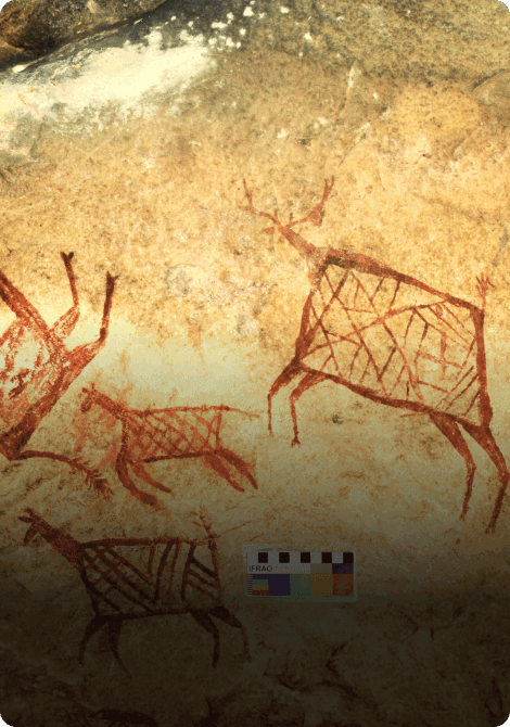 Excavations and Explorations